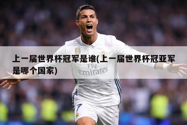 上一届世界杯冠军是谁(上一届世界杯冠亚军是哪个国家)