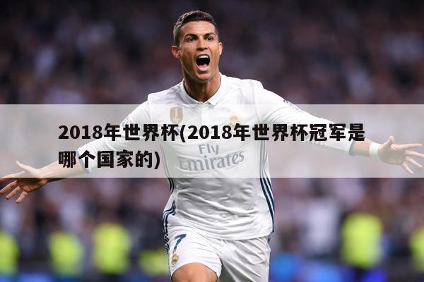 2018年世界杯(2018年世界杯冠军是哪个国家的)