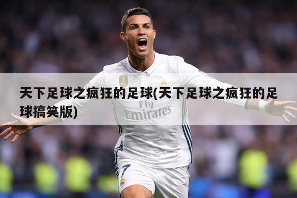 天下足球之疯狂的足球(天下足球之疯狂的足球搞笑版)