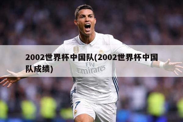 2002世界杯中国队(2002世界杯中国队成绩)