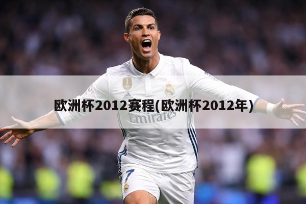 欧洲杯2012赛程(欧洲杯2012年)