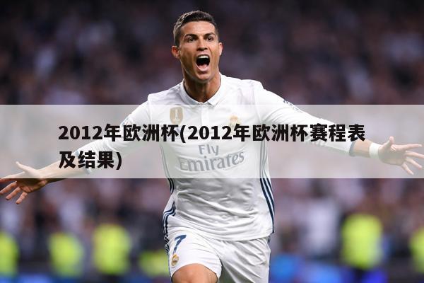 2012年欧洲杯(2012年欧洲杯赛程表及结果)