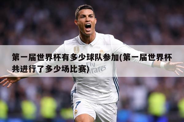 第一届世界杯有多少球队参加(第一届世界杯共进行了多少场比赛)