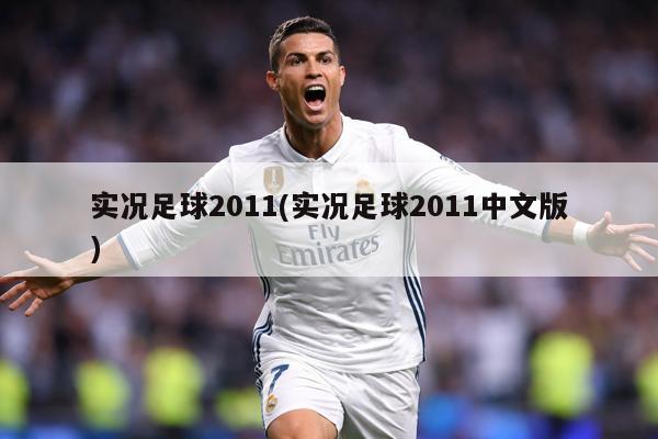 实况足球2011(实况足球2011中文版)
