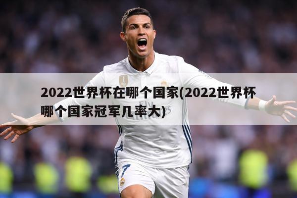 2022世界杯在哪个国家(2022世界杯哪个国家冠军几率大)