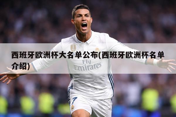 西班牙欧洲杯大名单公布(西班牙欧洲杯名单介绍)